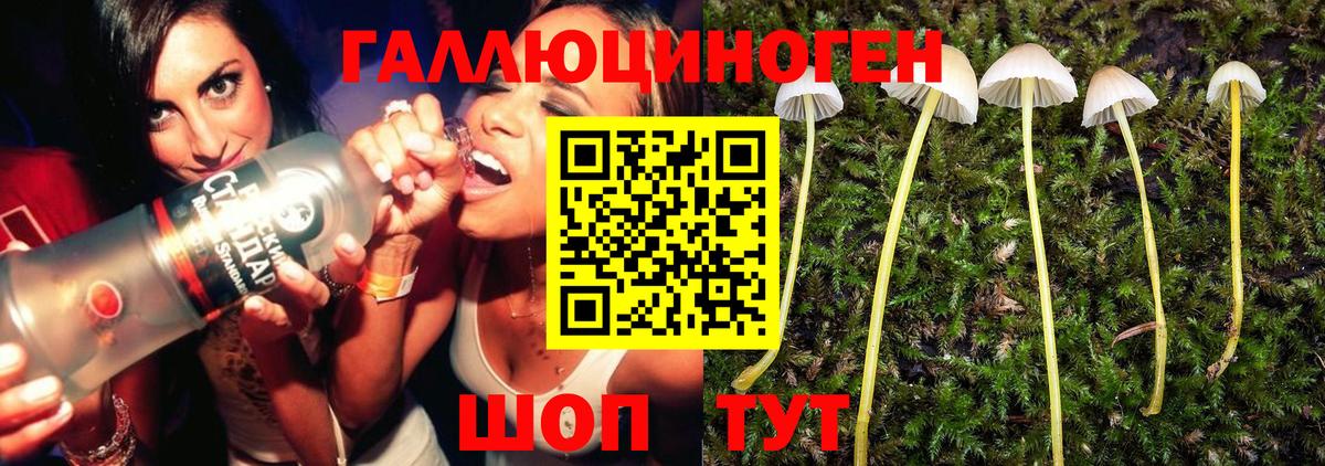 Галлюциногенные грибы ЛСД  Галлюциногенные грибы Magic Shrooms  Вход с VPN  Большой Камень 